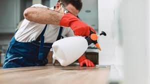 Real Estate Pest Inspections in Buffalo, MN